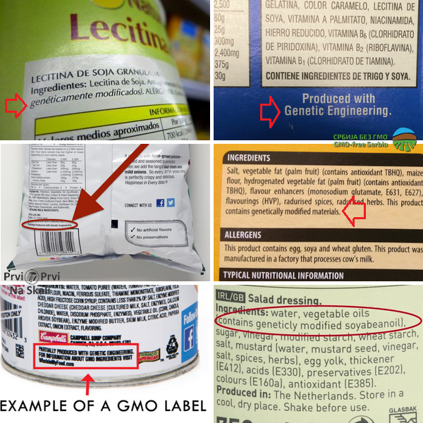 PRVI PRVI NA SKALI Primeri obelezavanja GMO u svetu