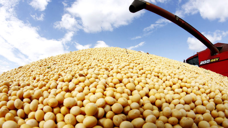 EU uvozi genetski modifikovanu soju!