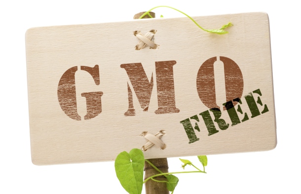Dani polja soje bez GMO