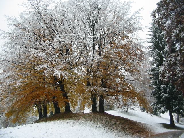 Početak jeseni, sa snegom