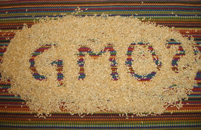 Hrvatske vlasti o otkrivenom GMO u uzorcima hrane od pirinča