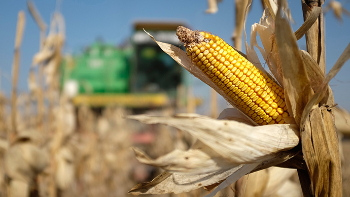Duma dozvolila strožije zakone o obeležavanju GMO proizvoda