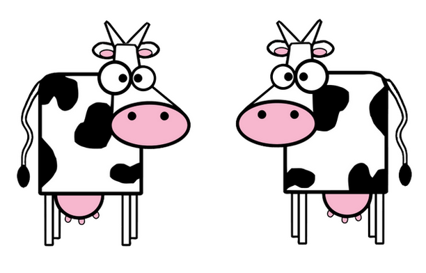 Kratka priča: Dve krave