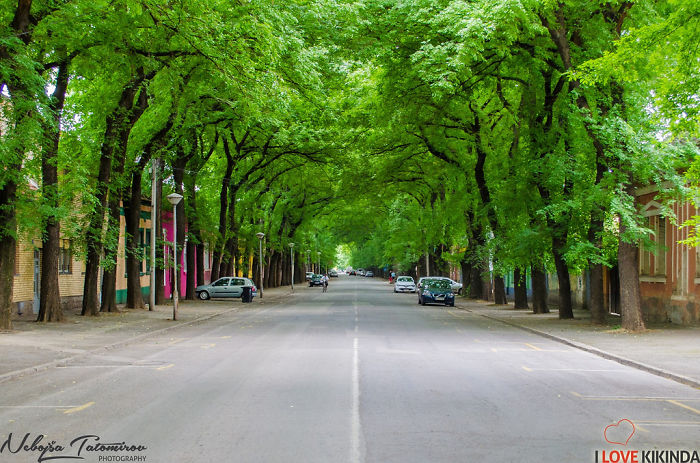 Među najmagičnijim ulicama na svetu - Kikinda, Srbija