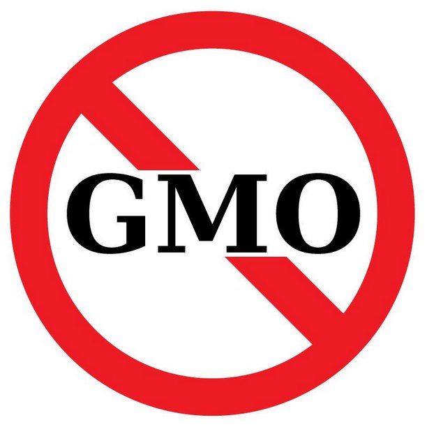 Članice EU same će odlučivati o uvozu GMO