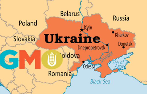 ’Zapad bi Ukrajinu da pretvori u zemljište za GMO’