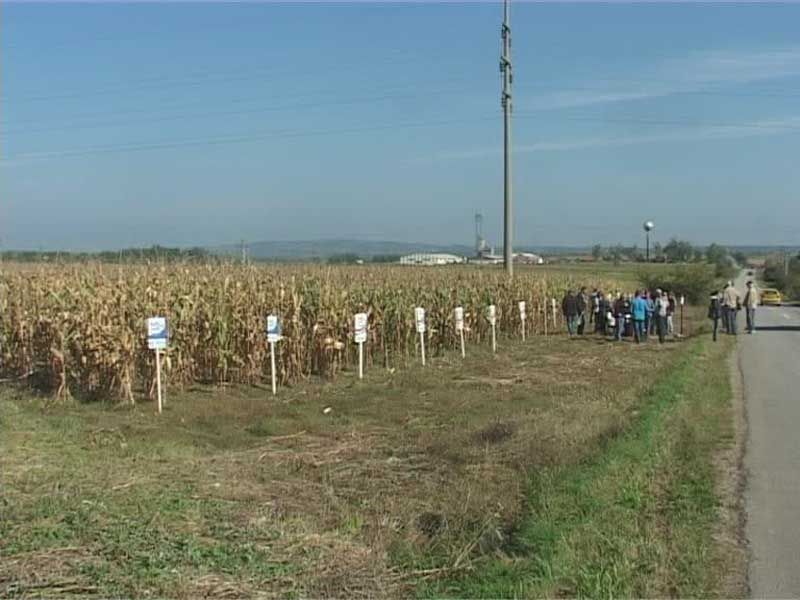 Održani Dani polja kukuruza