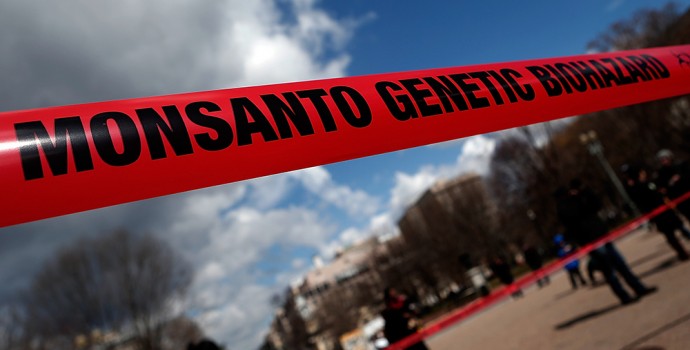 Monsanto otrovao ratare u Francuskoj