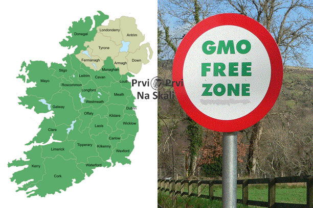 Severna Irska odlučila: Nećemo GMO