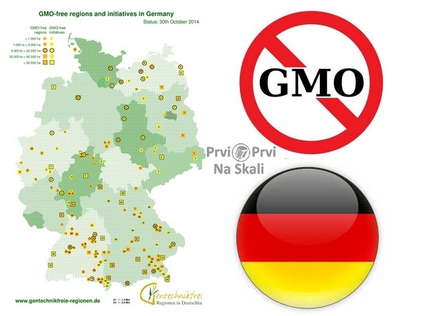 Ni Nemačka neće GMO