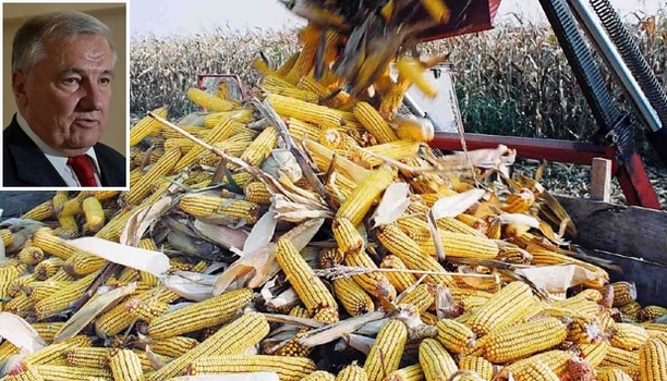 ’’Mutante’’ na referendum - prometom GMO izgubićemo milijarde!