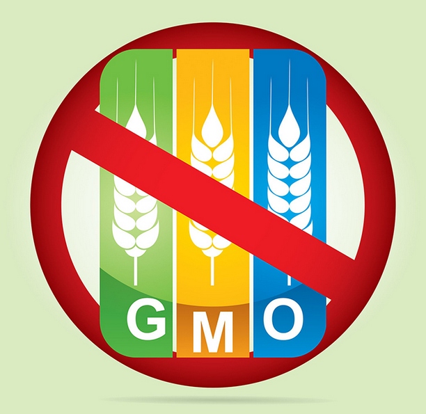 Zavirivanje u Pandorinu kutiju GMO