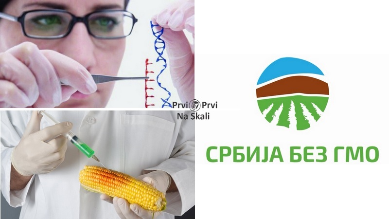 GMO u poljoprivredi - oduzimanje posla domaćim institutima, favorizovanje uvoznika GM semena