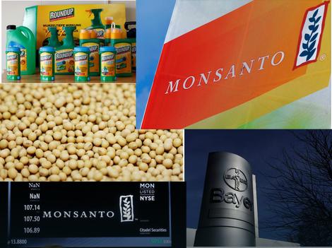 Bajer smiruje građane: Neće biti GMO biljaka u Evropi