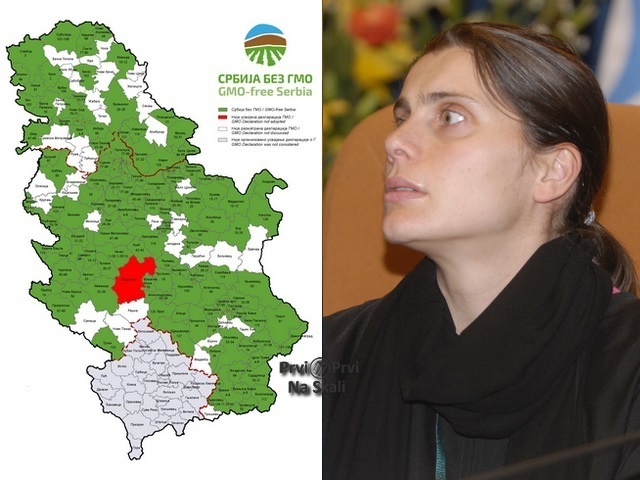 Evropska komisija traži promet GMO u Srbiji