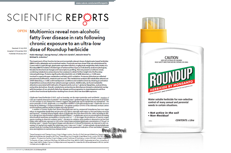 Multiomics reveal non-alcoholic fatty liver disease in rats following chronic exposure to an ultra-low dose of Roundup herbicide