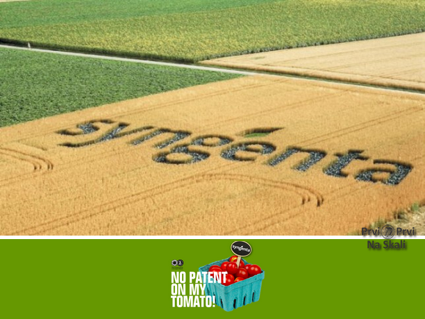Evropski parlament odbio prodaju GMO kukuruza