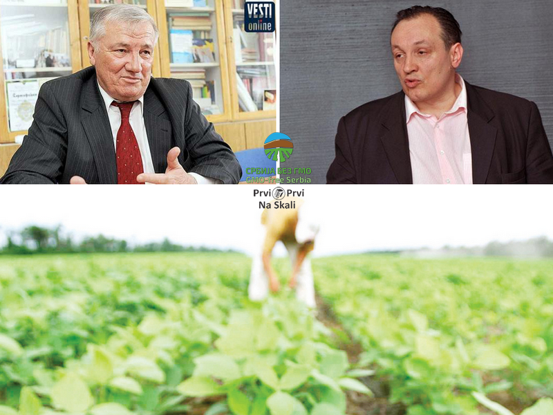 Seljaku i seme zatrli; GMO masovno stiže na polja!