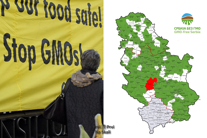 Prometom GMO za 20 godina nestaće domaća semenska industrija