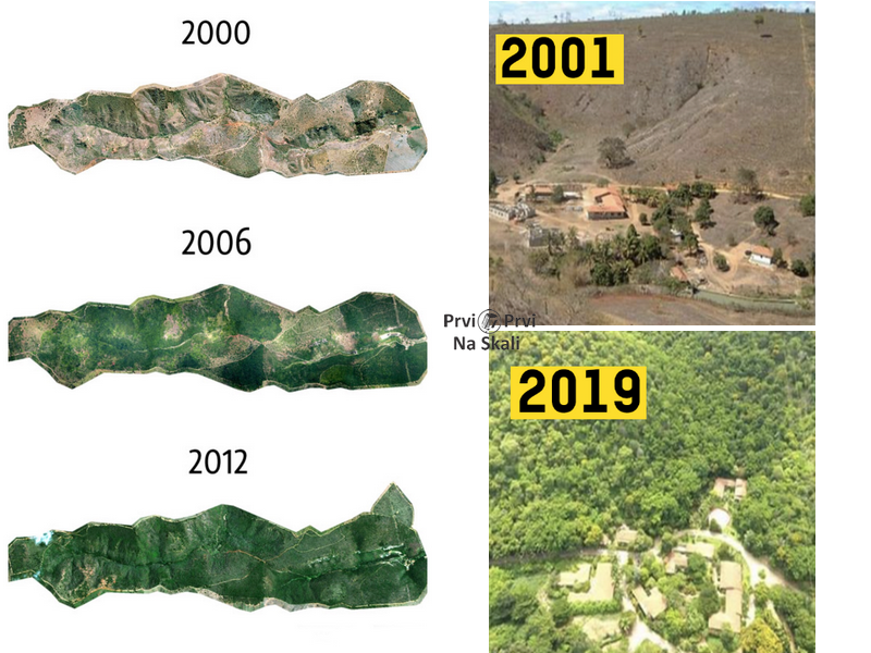 Obnova i očuvanje šumskog zemljišta u Brazilu