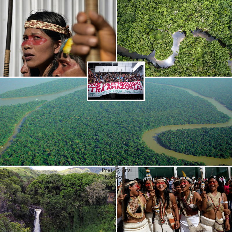 Amazonsko pleme dobilo tužbu protiv vlade Ekvadora - sačuvani milioni hektara šume