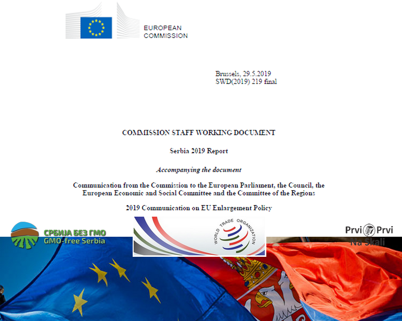 Tokom sledeće godine Srbija treba da pristupi STO izmenom zakona o GMO i završetkom bilateralnih pregovora o pristupu tržištu (EK: Srbija - Izveštaj za 2019)