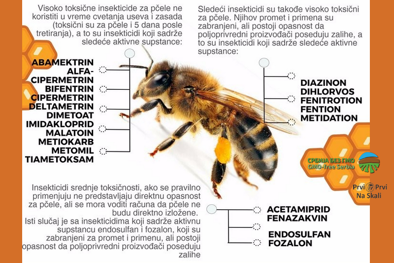 Uprava za zaštitu bilja: Tretiranje pesticidima nikad u vreme intenzivnog leta pčela; korove ne tretirati herbicidima