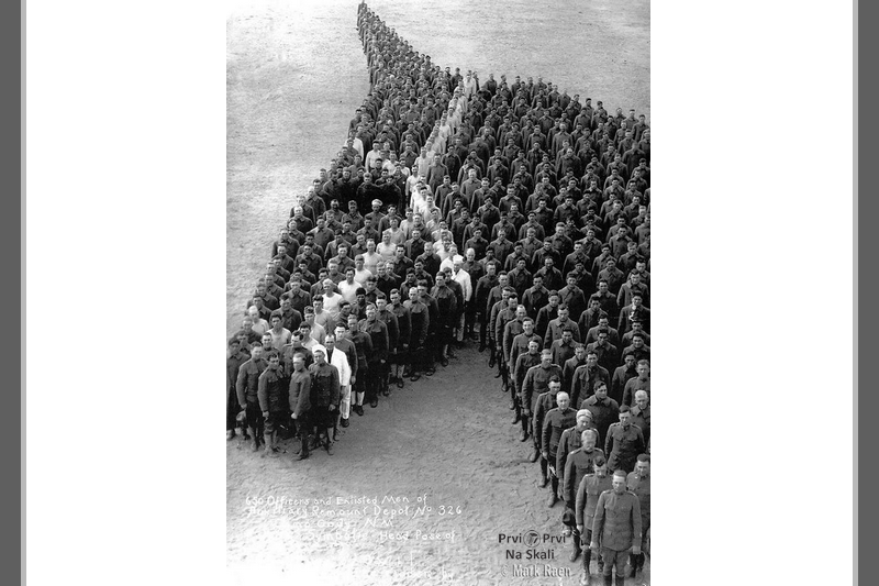 Počast konjima nastradalim tokom Velikog rata
