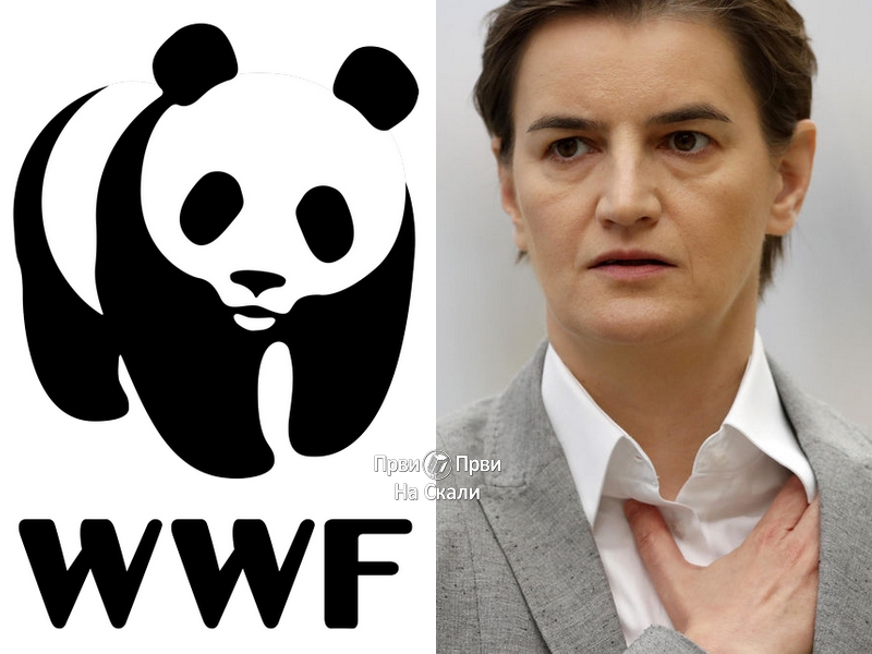Odgovor WWF Ani Brnabić: Besmislene su male hidroelektrane!