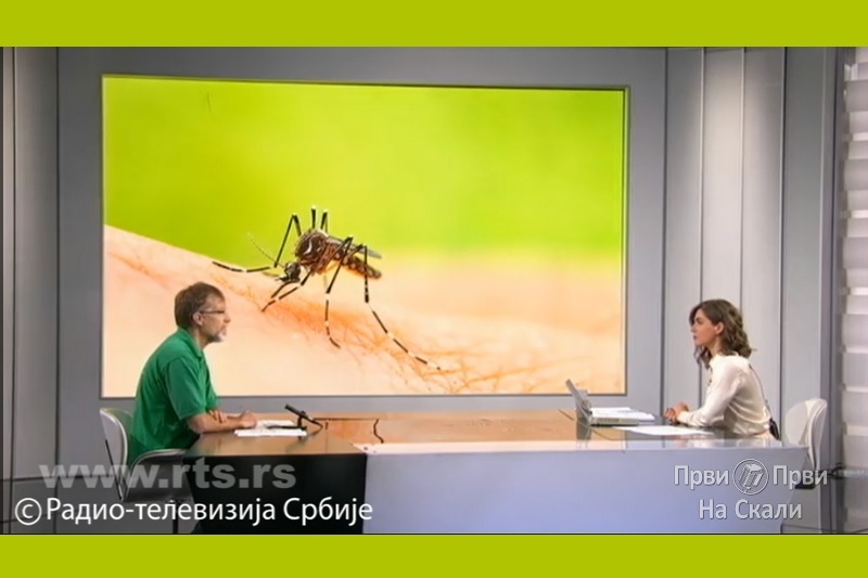 Virus Zapadnog Nila kod komaraca u nekoliko opština i gradova Srbije