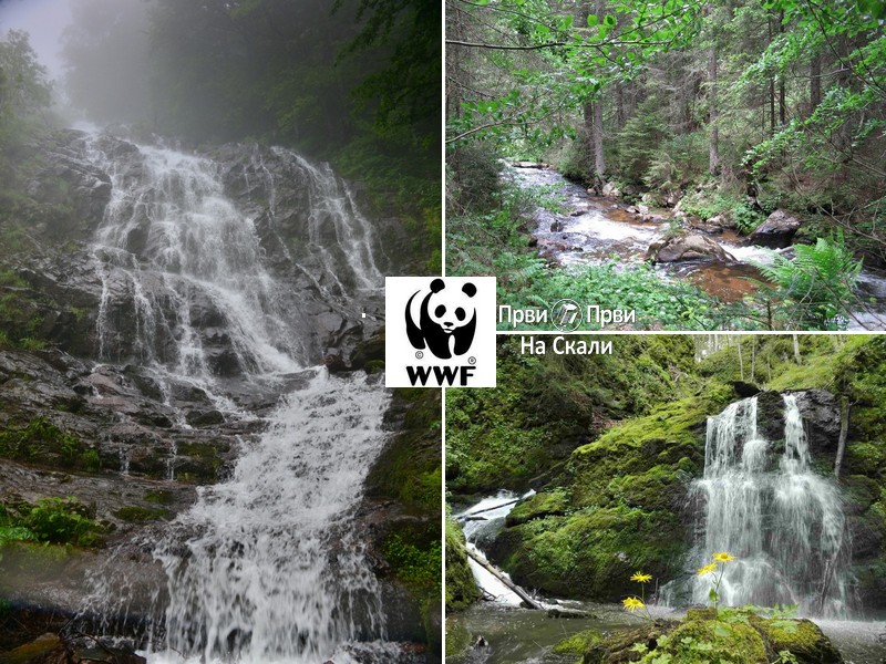 U svetu isplanirano 500 brana u zaštićenim područjima, uglavnom za HE - deo njih i u Srbiji
