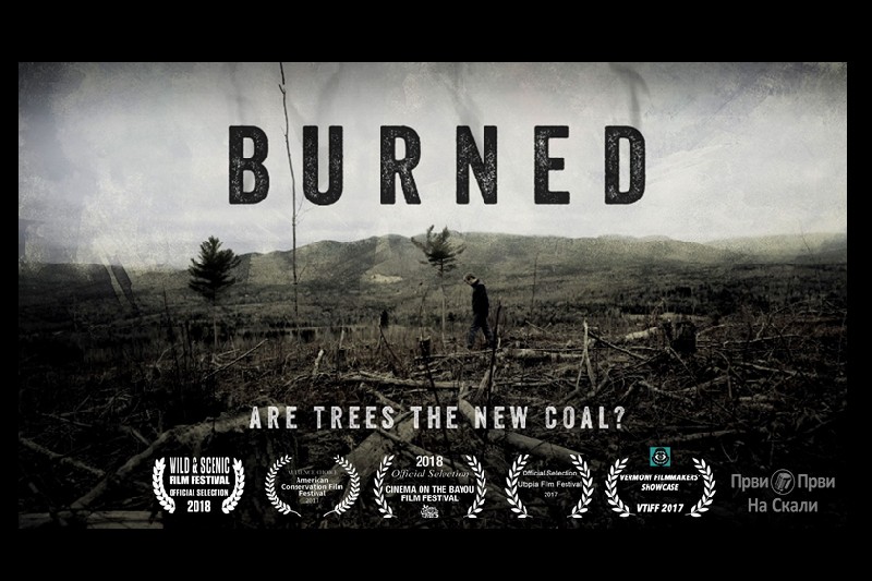 Burned: Are Trees the New Coal?