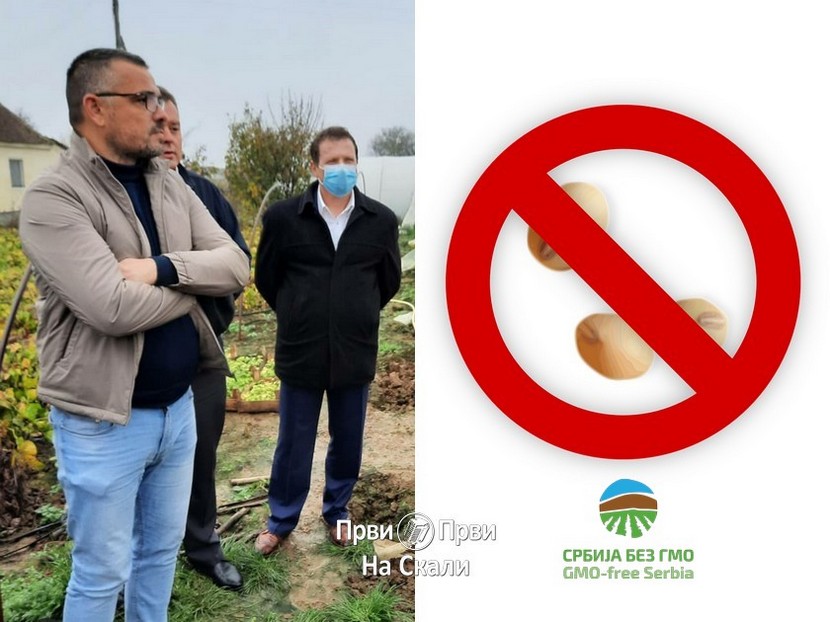 Nedimović: Nema GMO na teritoriji Srbije ni u proizvodnji, ni u prometu