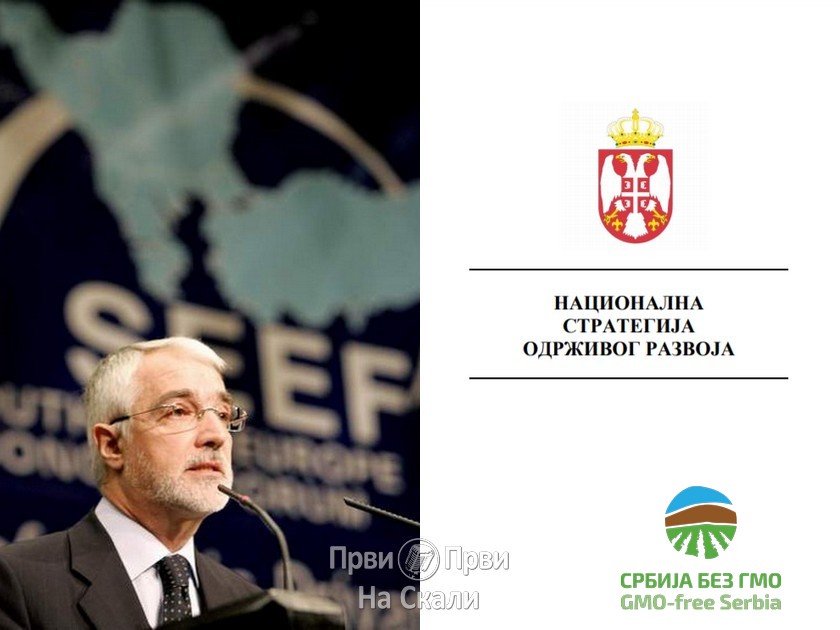 Nacionalna strategija održivog razvoja - Vlada Srbije, 2008