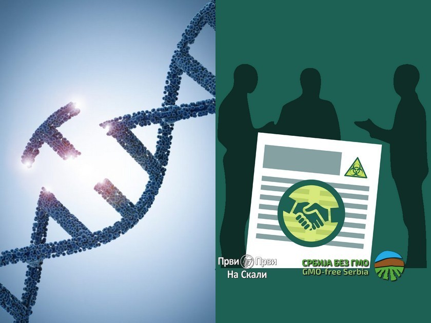 Nova genomska tehnika (NGT) mogla bi da zameni GMO?