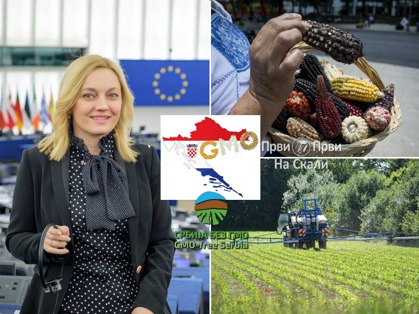 Za GMO nema mesta u hrvatskoj poljoprivredi