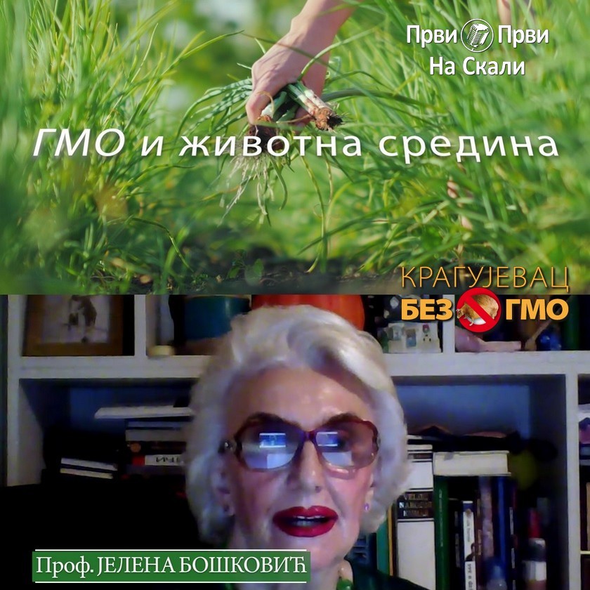 Prof. dr Jelena Bošković: GMO i savremena poljoprivredna proizvodnja
