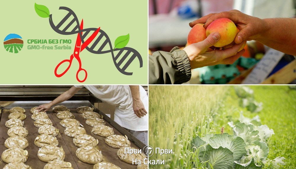 Genetički inženjering u poljoprivredi i namirnicama; ’Bio’ - bez GMO, je odgovor za krizu