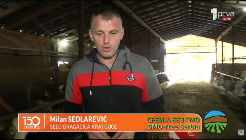 Stočari u zapadnoj Srbiji: Ne koristimo GMO u ishrani stoke, zakonom nije odobreno