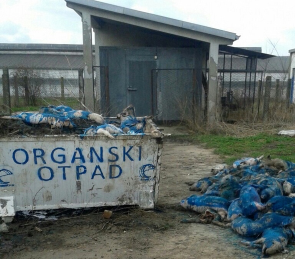 organski otpad