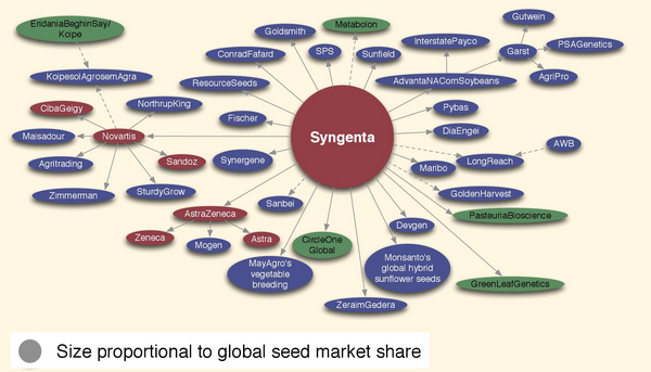 PRVI PRVI NA SKALI Seed Industry Syngenta