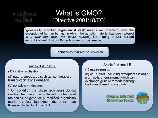PRVI PRVI NA SKALI Miodrag Dimitrijevic Vreme GMO je proslo, dolazi vreme GEO - geneticki editovanih organizama 2019 2.jpg