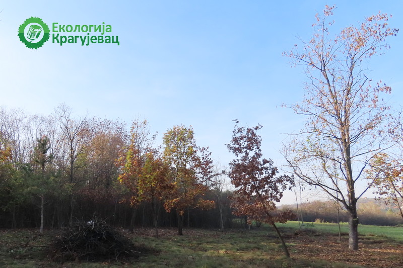 PRVI PRVI NA SKALI Ekologija Kragujevac Botanička bašta u Kragujevcu 4