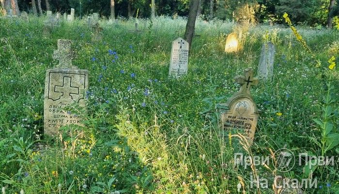 PRVI PRVI NA SKALI Kragujevac Zapušteno Staro vojničko groblje (FOTO, VIDEO) 2