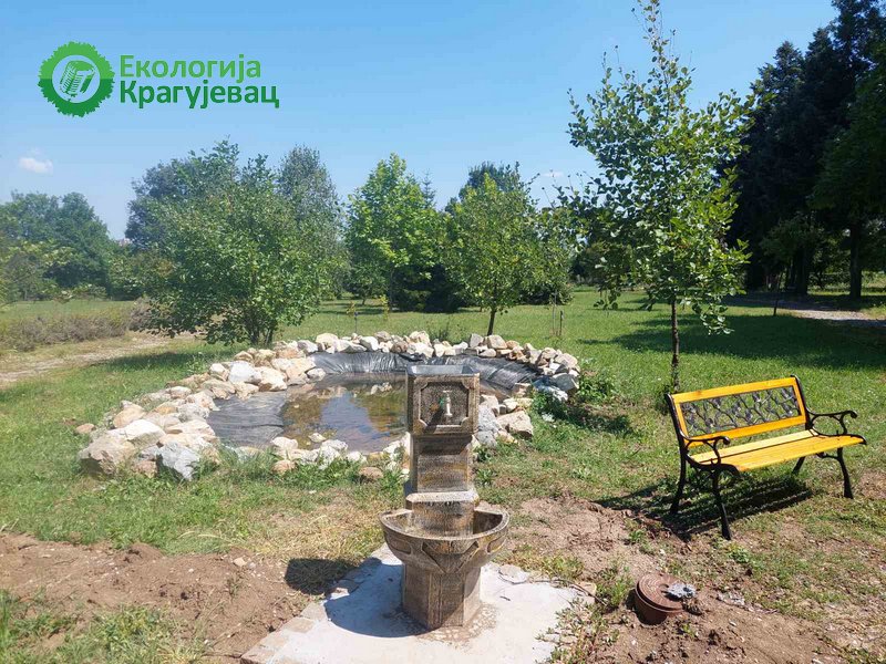 PRVI PRVI NA SKALI Ekologija Kragujevac Mali vodeni ekosistem u Botaničkoj bašti u Kragujevcu - realizovan projekat UG Svetli horizont 2