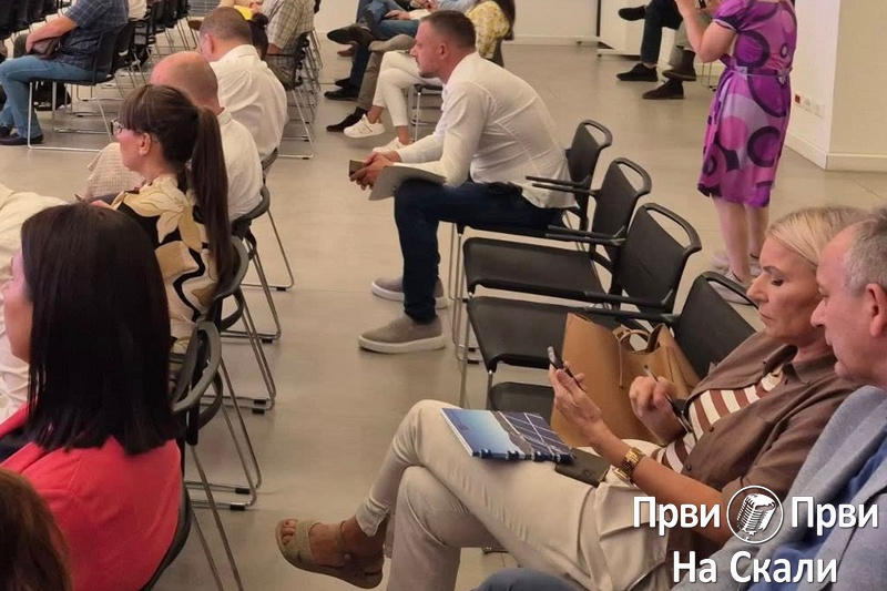 PRVI PRVI NA SKALI Javna rasprava i 19 primedbi akademika na Strategiju o mineralnim resursima 2