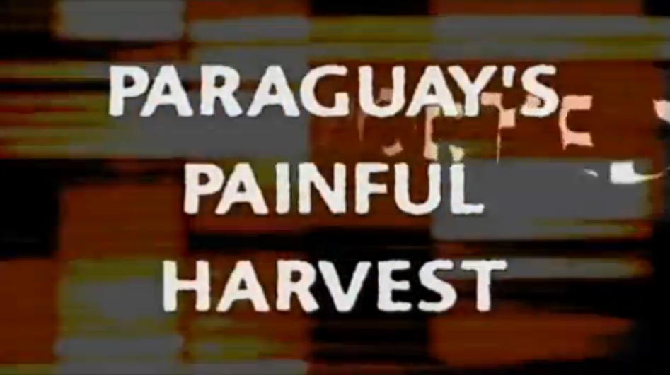 Paraguay’s Painful Harvest