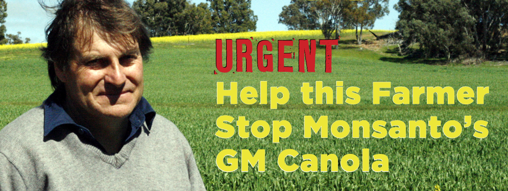 Australija: Tužio komšiju koji mu je zagadio polje GMO semenom