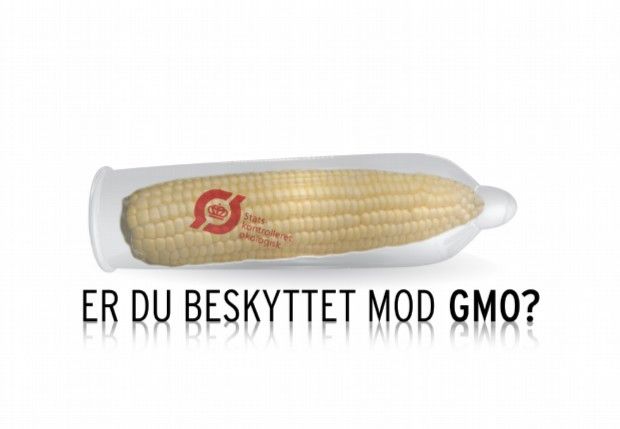Danski predlog o reformi zakona o GMO ne nailazi na podršku