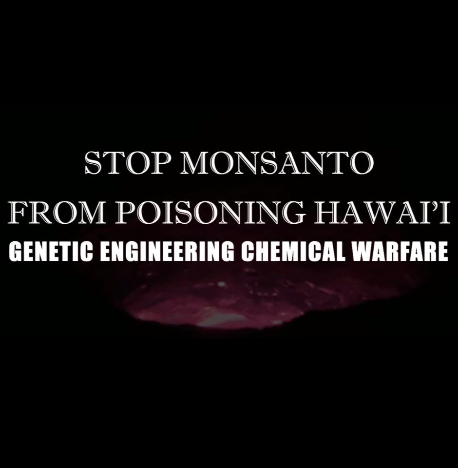 Stop Monsanto From Poisoning Hawaii: Genetic Engineering Chemical Warfare